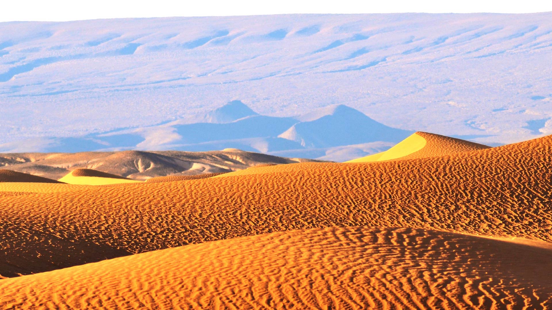 vehicules-4x4-bivouacs-et-equipements-6